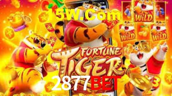 2877Bet - App Performance