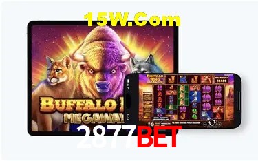 Sistemas de Segurança 2877Bet