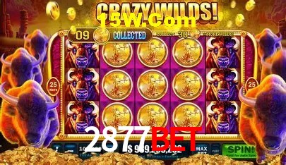 2877Bet Salvador - Football
