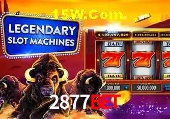 2877Bet - User Statistics